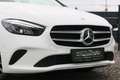Mercedes-Benz B 220 AHK*Xenon*Aut. Heckklappe*Sportaket*Assistent Bianco - thumbnail 3