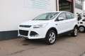 Ford Kuga 2.0 TDCI Sync Edition Autom. Weiß - thumbnail 1