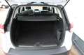 Ford Kuga 2.0 TDCI Sync Edition Autom. Weiß - thumbnail 9