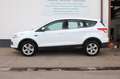 Ford Kuga 2.0 TDCI Sync Edition Autom. Weiß - thumbnail 5