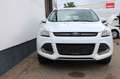 Ford Kuga 2.0 TDCI Sync Edition Autom. Weiß - thumbnail 2