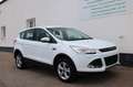 Ford Kuga 2.0 TDCI Sync Edition Autom. Weiß - thumbnail 3