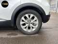 Renault Captur Captur 1.0 TCe Intens GPF (EU6D) Blanc - thumbnail 20