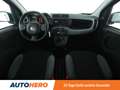 Fiat Panda 1.0 Mild-Hybrid City Plus *KLIMA*GARANTIE* Blau - thumbnail 12