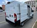 Fiat Ducato DUCATO FURGONE LASTRATO 35Q MH2 140CV Blanco - thumbnail 7