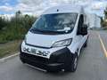 Fiat Ducato DUCATO FURGONE LASTRATO 35Q MH2 140CV Blanco - thumbnail 3