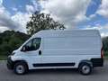 Fiat Ducato DUCATO FURGONE LASTRATO 35Q MH2 140CV Blanco - thumbnail 1