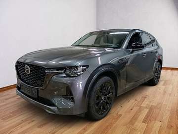 Homura D.-254 AWD HUD AHK Navi Leder Memory Sitze