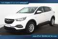 Opel Grandland X 1.2 Turbo Business Executive *Parkassist*Airco*APK Blanc - thumbnail 1