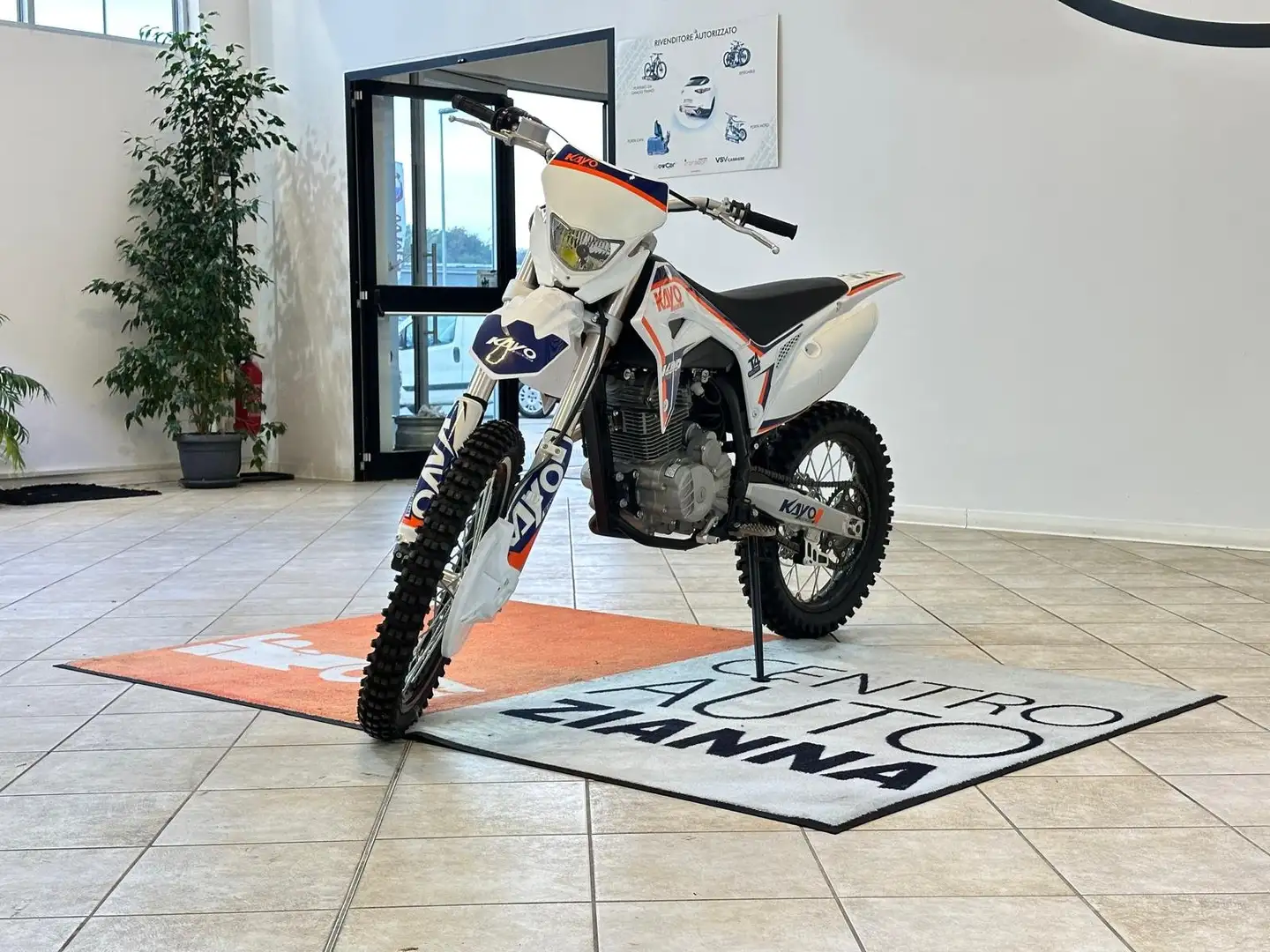 Kayo PIT - BIKE CROSS 250 cc T4 RACING Bianco - 1