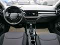 Skoda Fabia Selection 1.0 TSI DSG*NAVI-ÜBER-SMARTLINK*LED*P... Blau - thumbnail 10