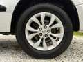 Suzuki Grand Vitara 1.9 ddis offroad Evolution+ 5p - thumbnail 4