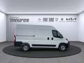 Opel Movano Kasten L2H2 Klima el.SP eFH PDC Temp Freisp Blanc - thumbnail 5