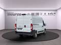 Opel Movano Kasten L2H2 Klima el.SP eFH PDC Temp Freisp Blanc - thumbnail 4