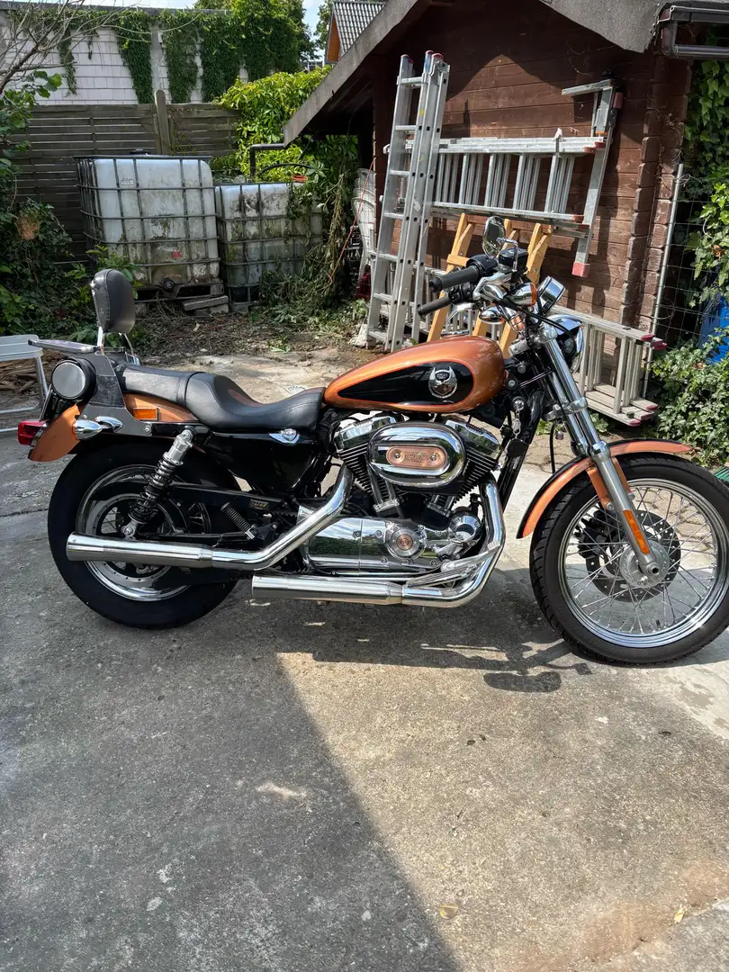 Harley-Davidson Sportster 1200 XL2 Low 105 Anniversery Edition - 1