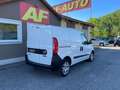 Fiat Doblo Doblo Cargo SX 1,6 MultiJet 105 Weiß - thumbnail 5