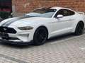 Ford Mustang 2,3 EcoBoost Aut. - thumbnail 2