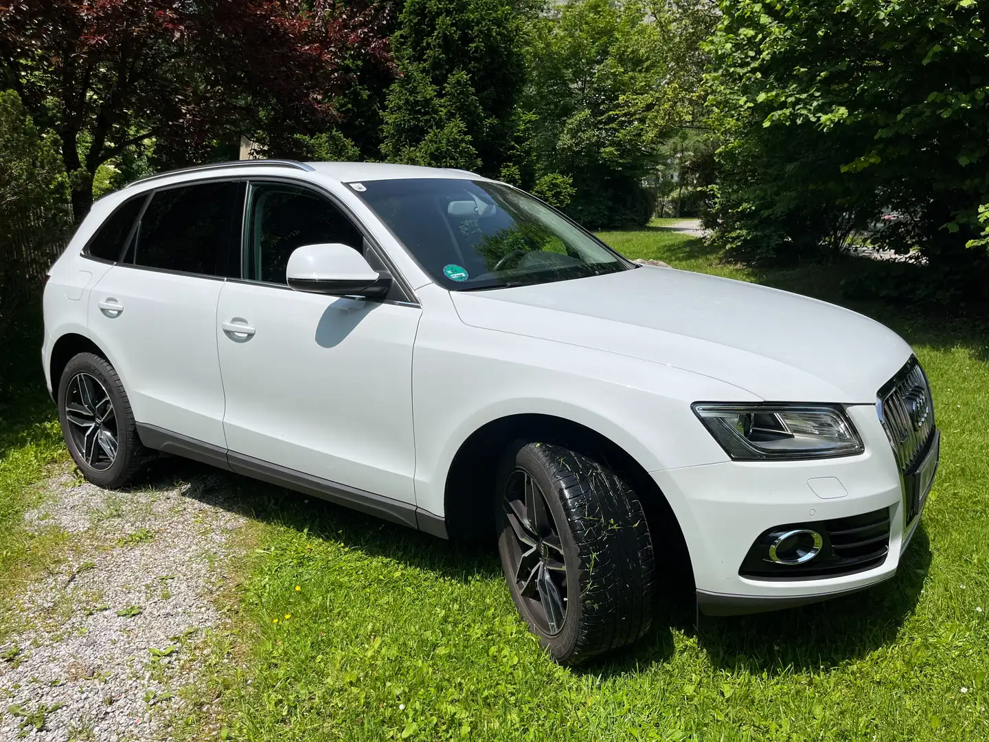 Audi Q5 Q5 2,0 TDI quattro Style DPF Style Weiß - 1