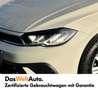 Volkswagen Polo Austria Grau - thumbnail 5