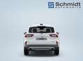 Ford Kuga Titanium 2,5L FHEV 183PS A AWD Weiß - thumbnail 7