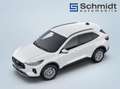 Ford Kuga Titanium 2,5L FHEV 183PS A AWD Weiß - thumbnail 9