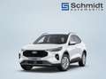 Ford Kuga Titanium 2,5L FHEV 183PS A AWD Weiß - thumbnail 1