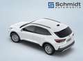 Ford Kuga Titanium 2,5L FHEV 183PS A AWD Weiß - thumbnail 8