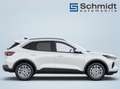 Ford Kuga Titanium 2,5L FHEV 183PS A AWD Weiß - thumbnail 4