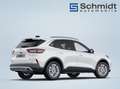 Ford Kuga Titanium 2,5L FHEV 183PS A AWD Weiß - thumbnail 5