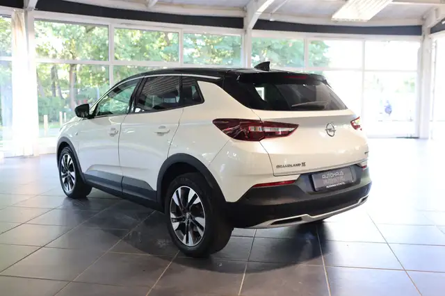Opel Grandland view 4