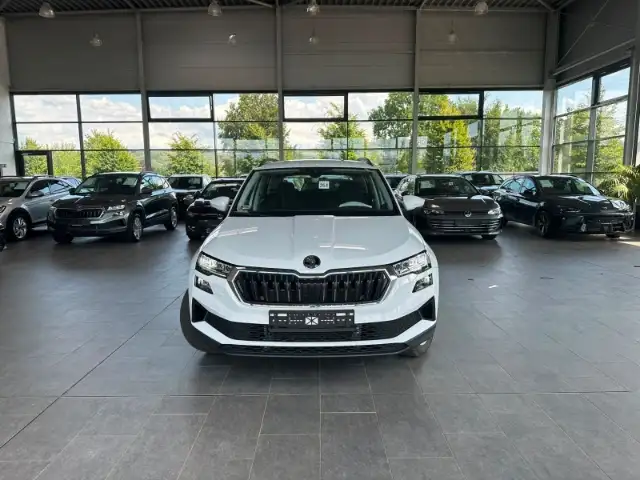 Skoda Karoq view 3