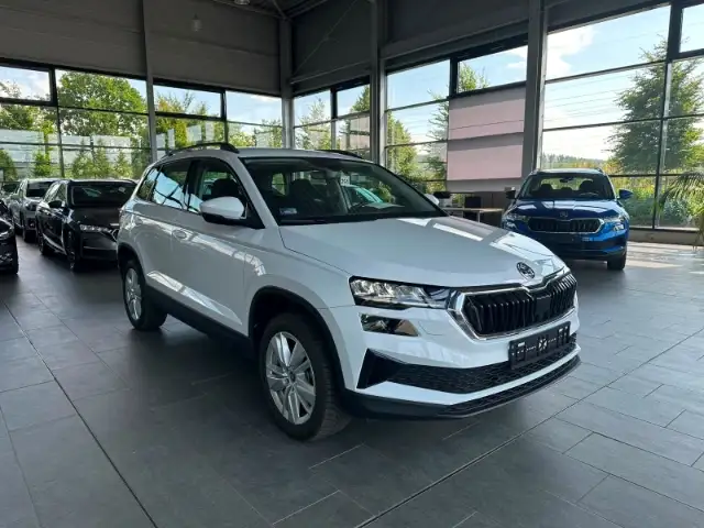 Skoda Karoq view 4