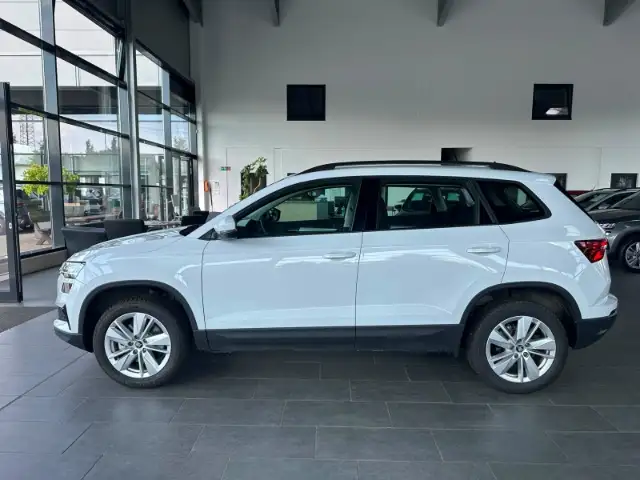 Skoda Karoq view 2