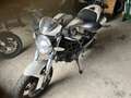 Ducati Monster 696 Weiß - thumbnail 4