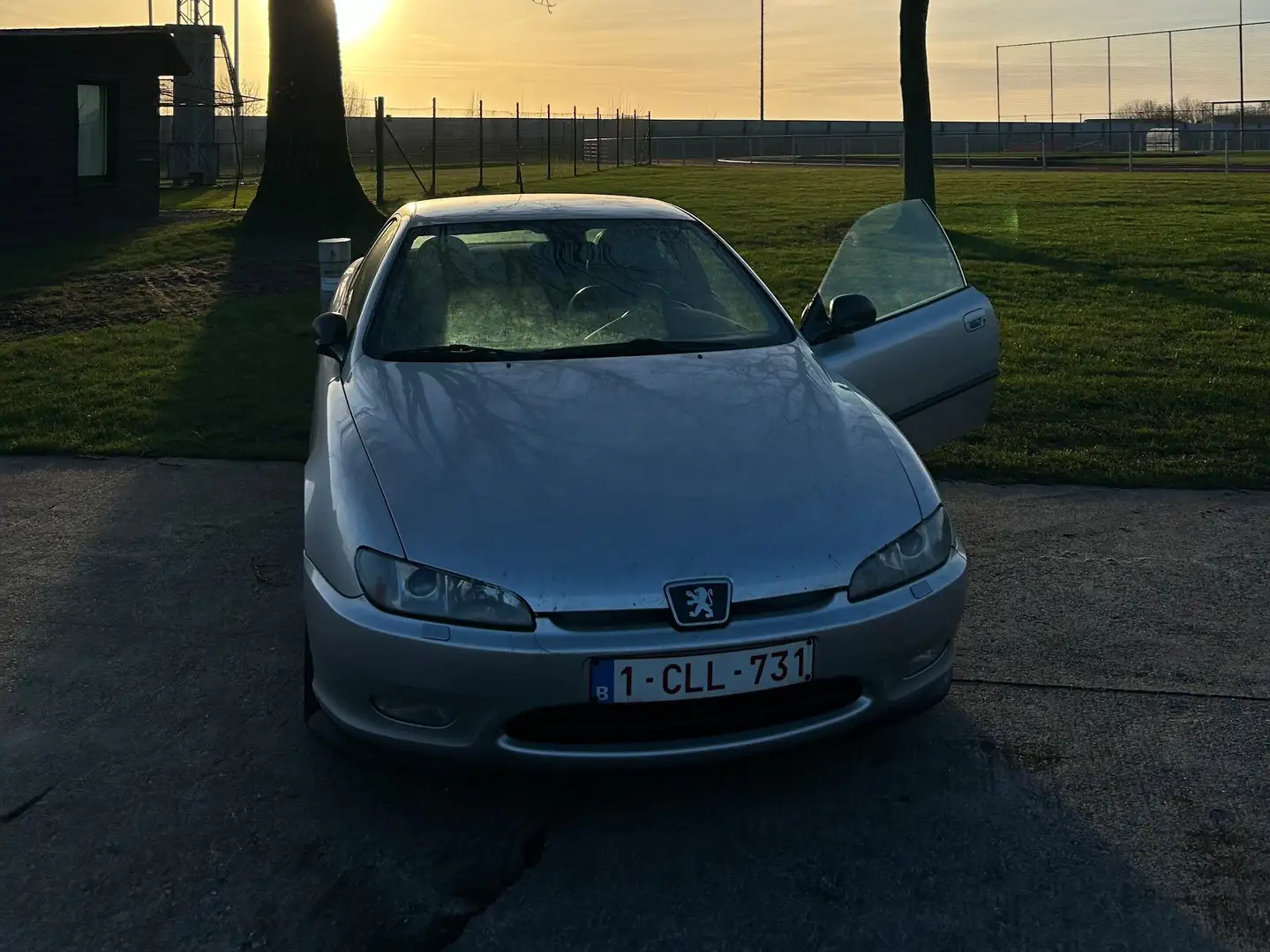 Peugeot 406 406 Coupe 2.0 16V Gris - 2