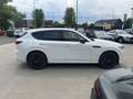 Mazda CX-60 Homura+Trekhaak + Convenience & Sound + Driver As Blanco - thumbnail 7