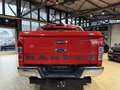 Ford Ranger Limited Doppelkabine 4x4 Panther*KAM*AHK* Rouge - thumbnail 5