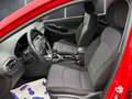 Hyundai i30 Kombi - PD i-Line Plus 1,0 TGDi c1kp1 Rot - thumbnail 21