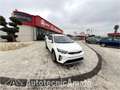 Kia Stonic 1.0 T-GDi 100 CV MHEV DCT Urban Bianco - thumbnail 3