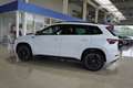 Skoda Karoq Sportline 1,5TSI DSG aAHK/Matrix/Kessy/Kamera Alb - thumbnail 6