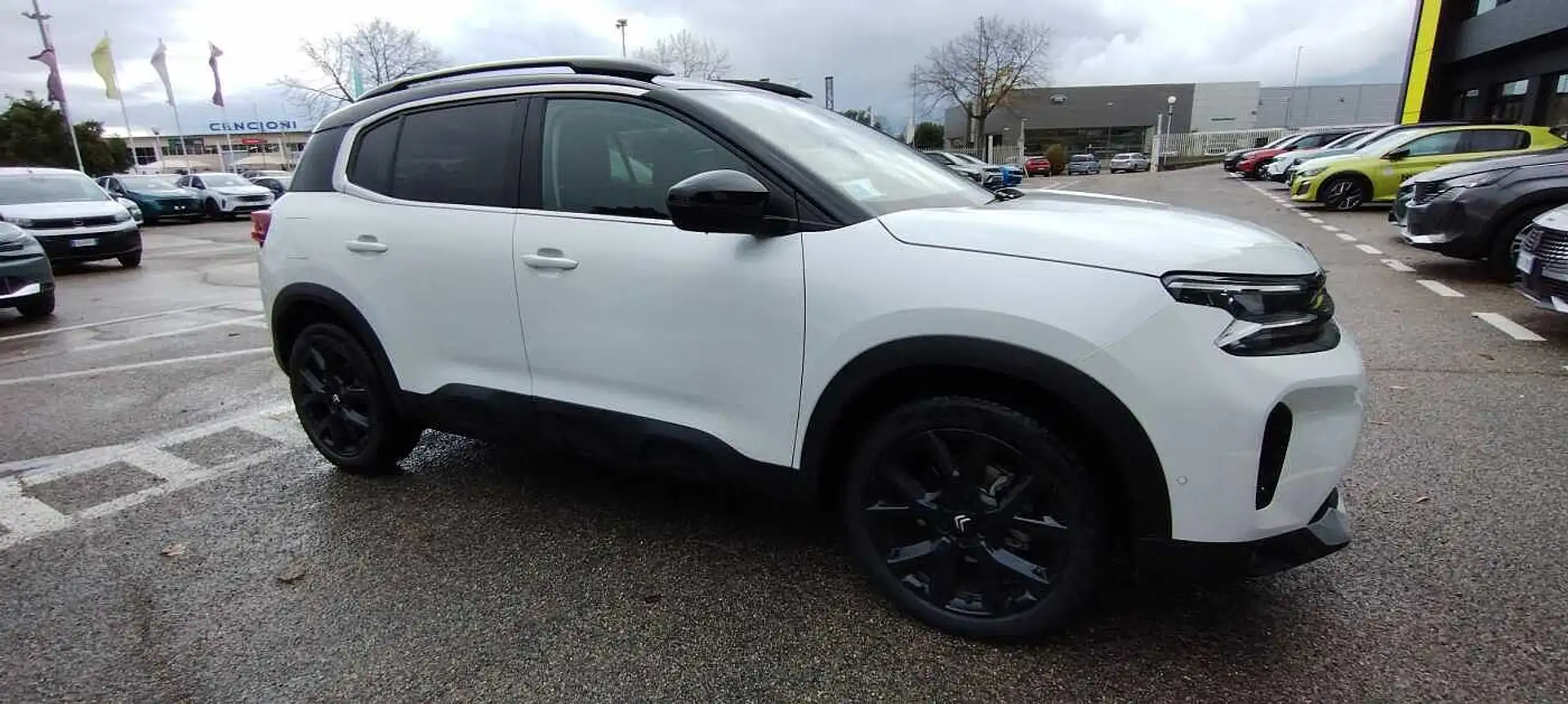 Citroen C5 Aircross 1ª s. BlueHDi 130 S&S EAT8 Plus Bianco - 2