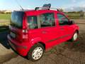 Fiat Panda Panda1.2 Dynamic 69cv E5 Rouge - thumbnail 6