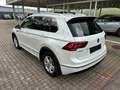 Volkswagen Tiguan 2,0 TDI SCR 4Motion Highline DSG Weiß - thumbnail 4