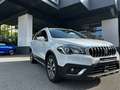 Suzuki S-Cross S-Cross 1.6 DDiS Start&Stop 4WD All Grip Cool Bianco - thumbnail 12