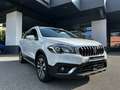 Suzuki S-Cross S-Cross 1.6 DDiS Start&Stop 4WD All Grip Cool Bianco - thumbnail 13