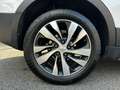Suzuki S-Cross S-Cross 1.6 DDiS Start&Stop 4WD All Grip Cool Bianco - thumbnail 15