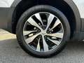 Suzuki S-Cross S-Cross 1.6 DDiS Start&Stop 4WD All Grip Cool Bianco - thumbnail 14