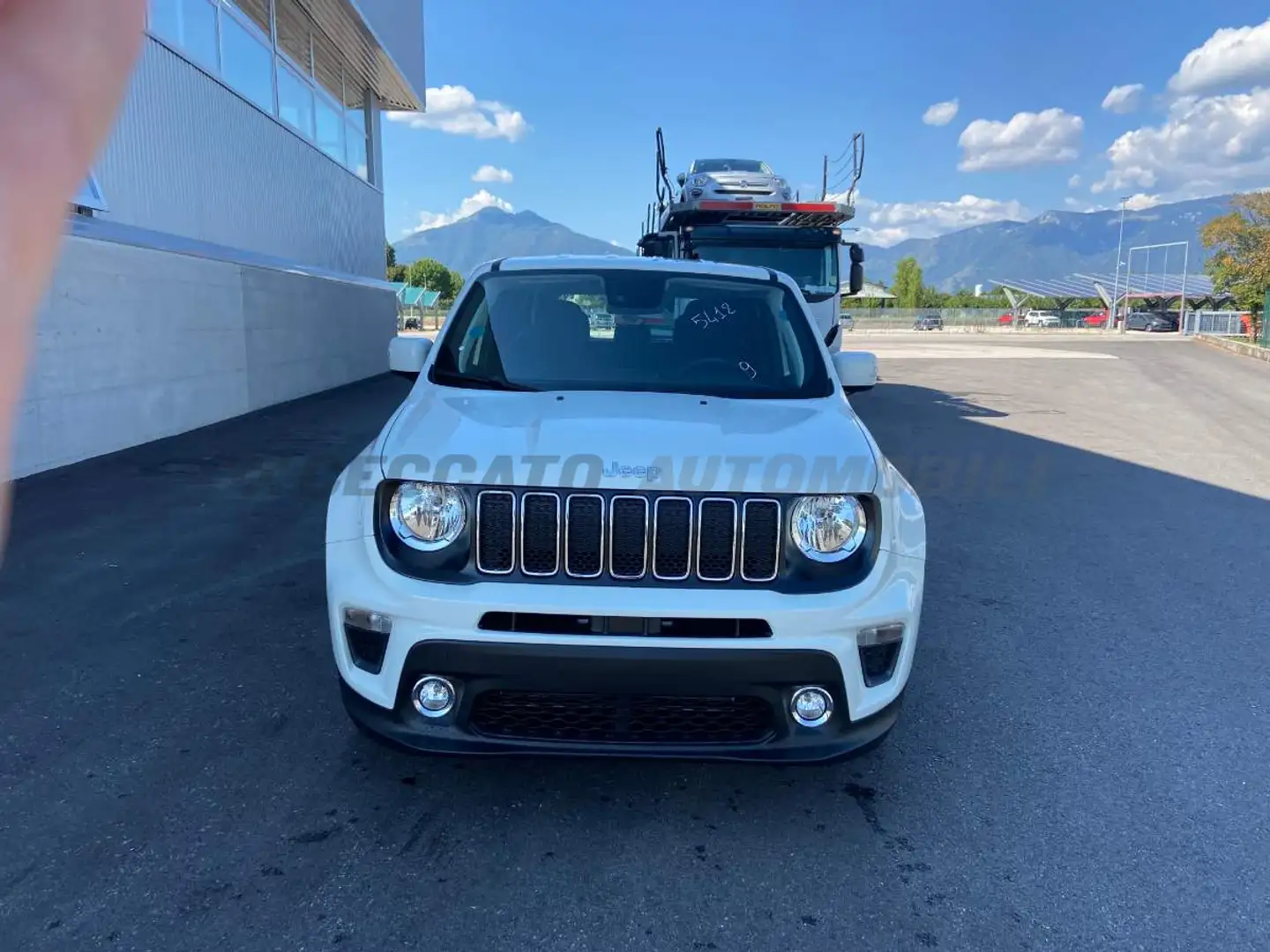 Jeep Renegade Renegade My21 Business 1.3 GseT4 150cv Ddct Bianco - 2
