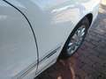Mercedes-Benz E 280 Elegance Weiß - thumbnail 20