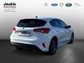 Ford Focus ST-Line, ACCTEMPOMAT, TECHNOLOGIEPAKET Weiß - thumbnail 4